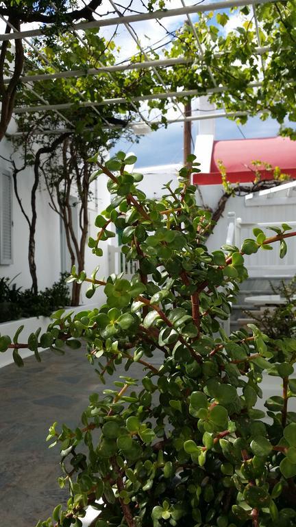Christina Mykonos Town